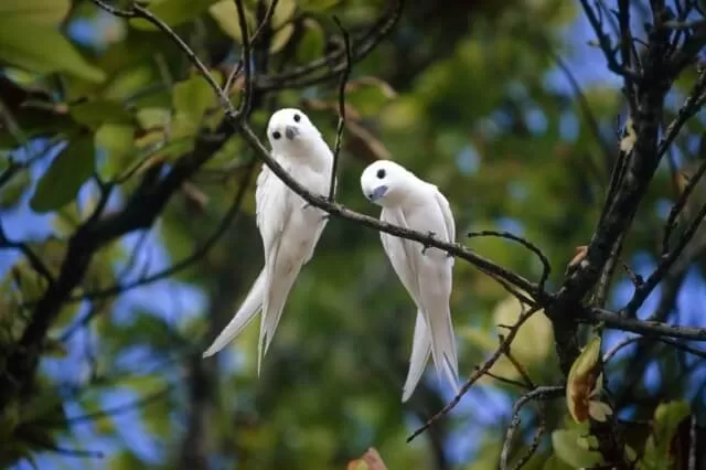 25 Март - Благовещение